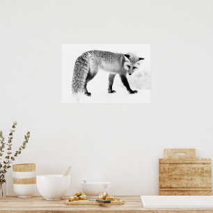 Poster Red Fox WildLife Black & White Photoographic Art