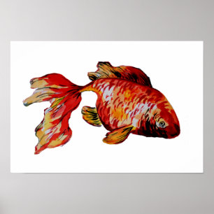 Poster Red Goldfish
