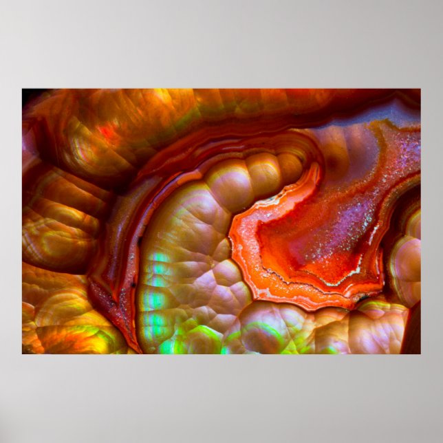 Pôster Red iridescent Fire Opal (Frente)