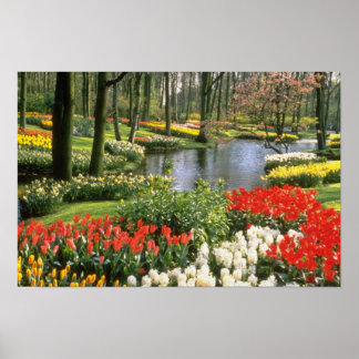 Poster Red Keukenthof Gardens, Lisse, flores da Holanda