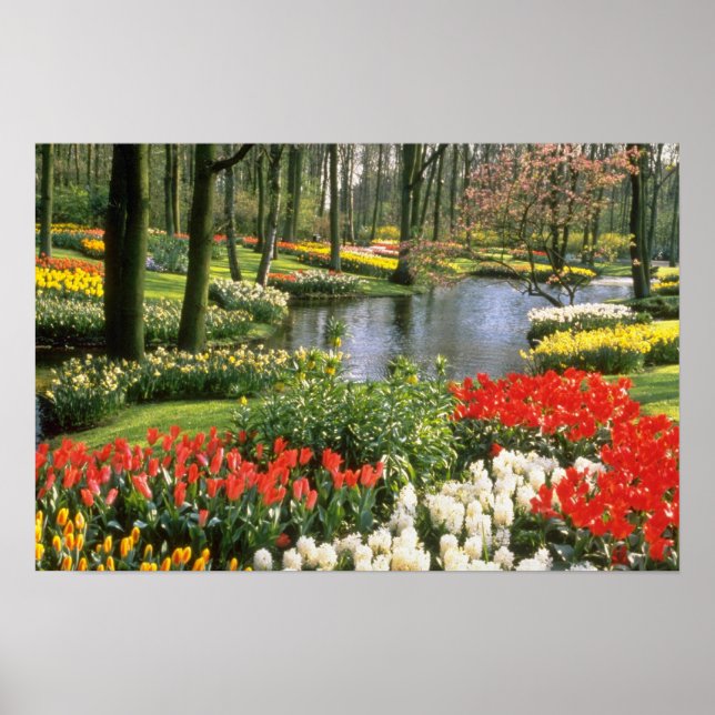 Poster Red Keukenthof Gardens, Lisse, flores da Holanda (Frente)