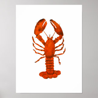 Poster Red Lobster 
