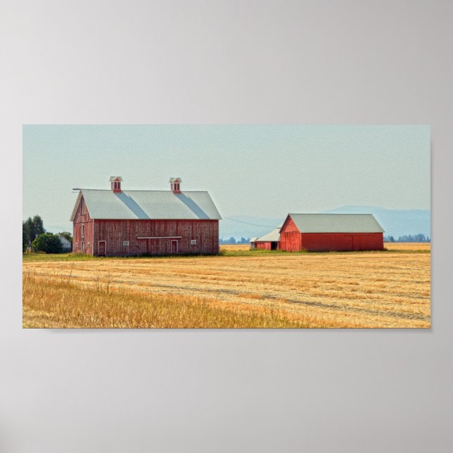 Poster Red Montana Barns (Frente)