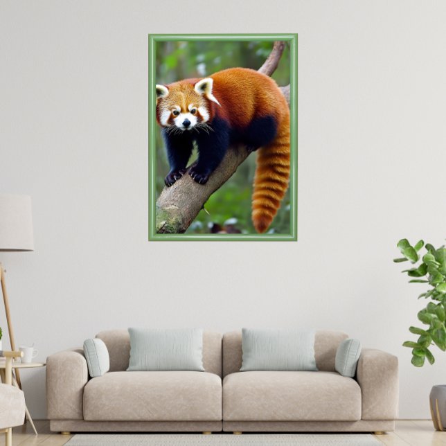 Poster Red Panda (Criador carregado)