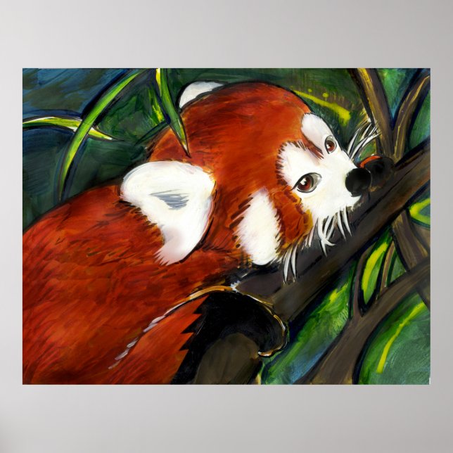 Poster Red Panda (Frente)