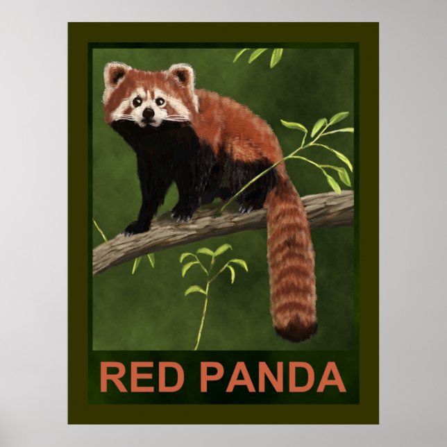 Poster Red Panda (Frente)