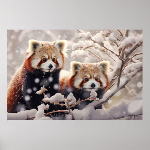 Poster Red Panda Animal Wilderness Arte Colorida