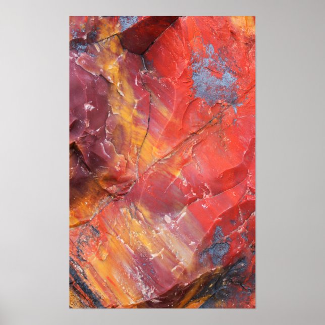 Poster Red Petrified wood detail, Arizona (Frente)