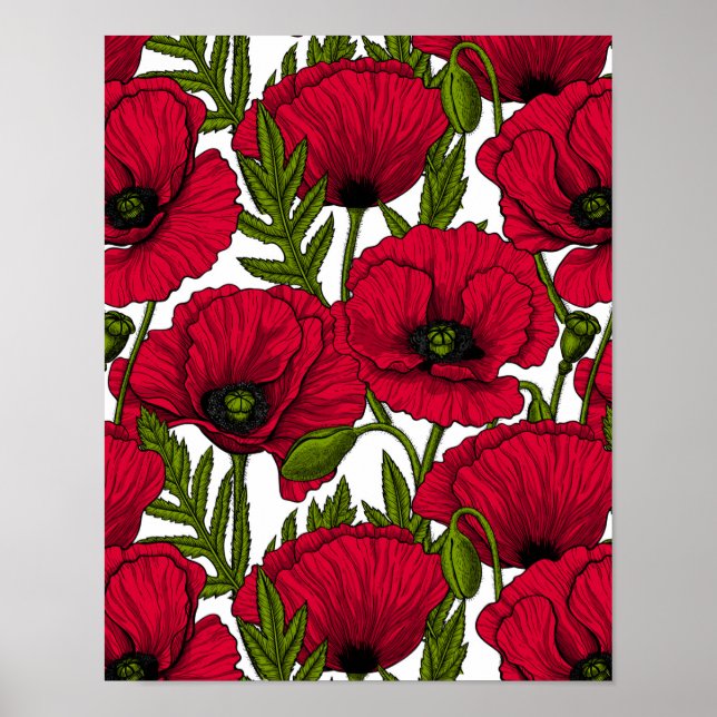 Poster Red Poppy jardim 2 (Frente)