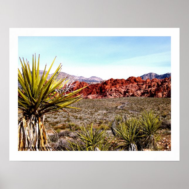 Pôster Red Rock Conservation Area, Las Vegas (Frente)