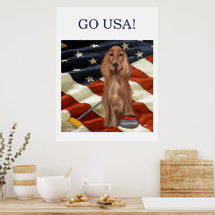 POSTER RED SETTER CURLING