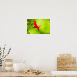 Poster 🌺 Red Tropical Kiss 💋