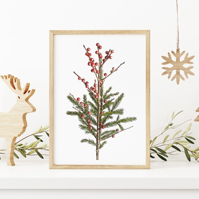 Poster Red Winter Berries and Pine (Criador carregado)