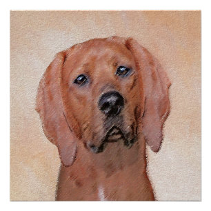 Pôster Redbone Coonhound Painting - Arte De Cachorro Orig