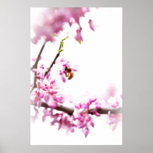 Poster Redbud & abelha na primavera