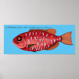 Poster Redfish on any background