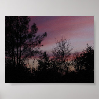 Pôster RedingSunset