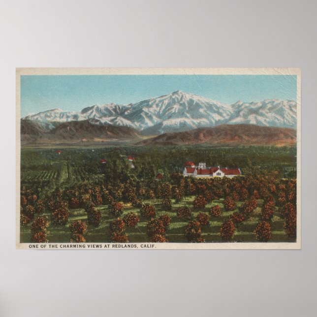 Poster Redlands, CA - Mountain & Orchard Scene (Frente)