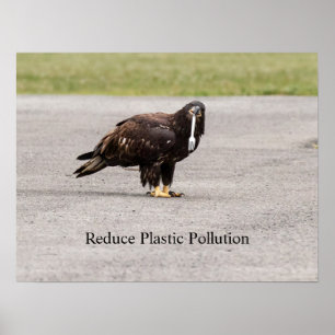 Poster Reduzir a Poluição Plástica