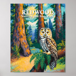 Poster Redwood National Park Forest Owl Van Gogh Style