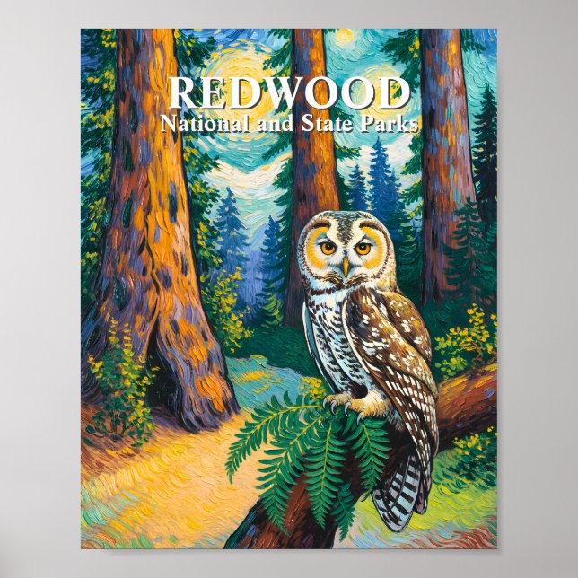 Poster Redwood National Park Forest Owl Van Gogh Style (Frente)