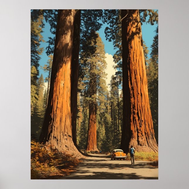 Poster Redwood National Park Vintage Style Viagem (Frente)