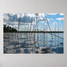 Reeds and Reflections on Rice Lake