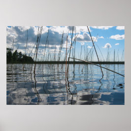 Poster Reeds and Reflections on Rice Lake