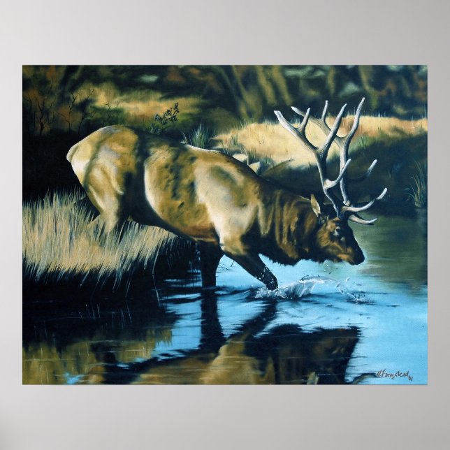 Pôster Reflections (Frente)