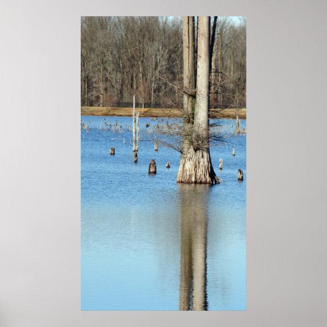 Pôster Reflexão (Frente)