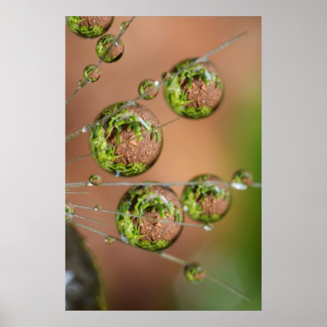 Poster Reflexão da Gota de Água (Frente)