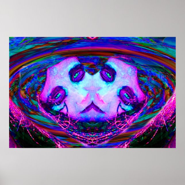 Pôster Reflexão do Espelho (Frente)