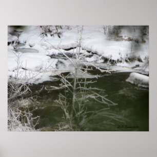 Poster Reflexão Do Gelo