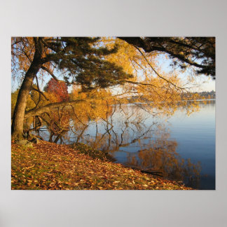 Poster Reflexão do outono