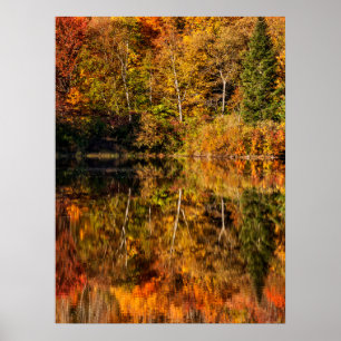 Poster Reflexão do outono sobre Coffin Pond