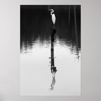 Pôster Reflexão Estática