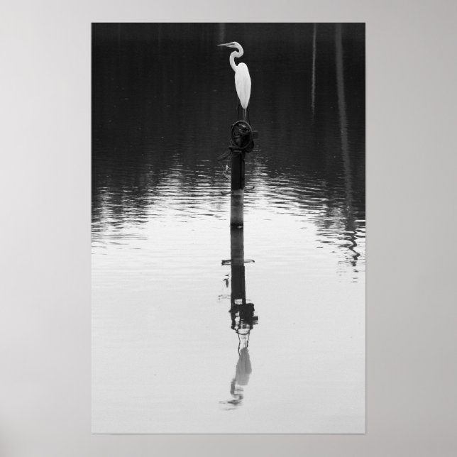 Pôster Reflexão Estática (Frente)