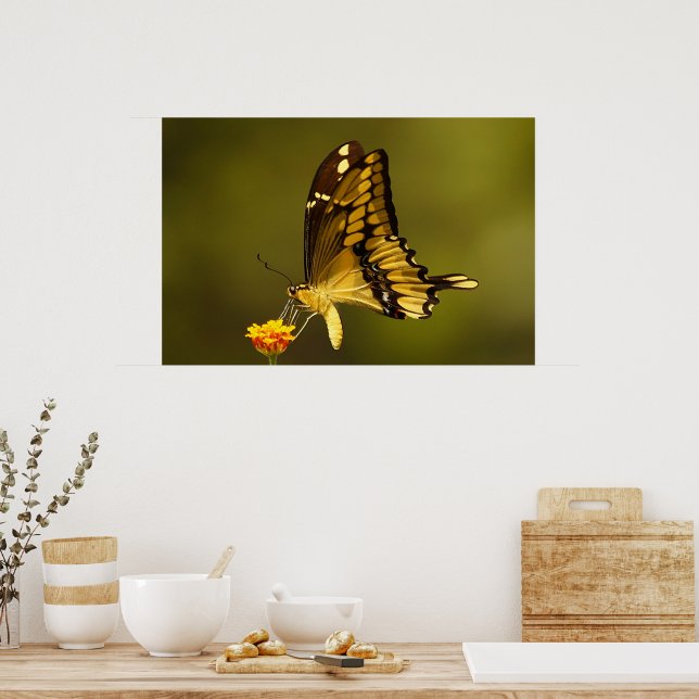 Poster Reflexão Majestosa (Cozinha)