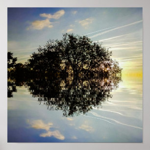 Poster Reflexão na Água