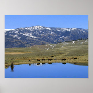 Poster Reflexão Natural