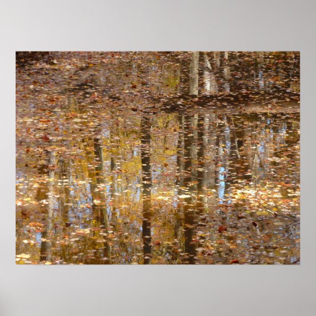 Poster Reflexão no "Crião Estático" no Parque Greenbelt (Frente)