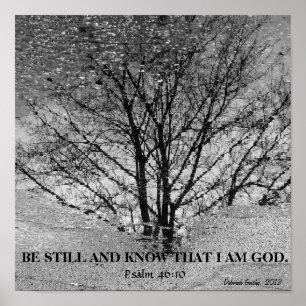 Poster Reflexão preto e branco da árvore