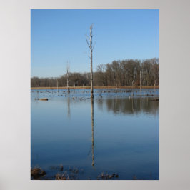 Pôster Reflexão singular