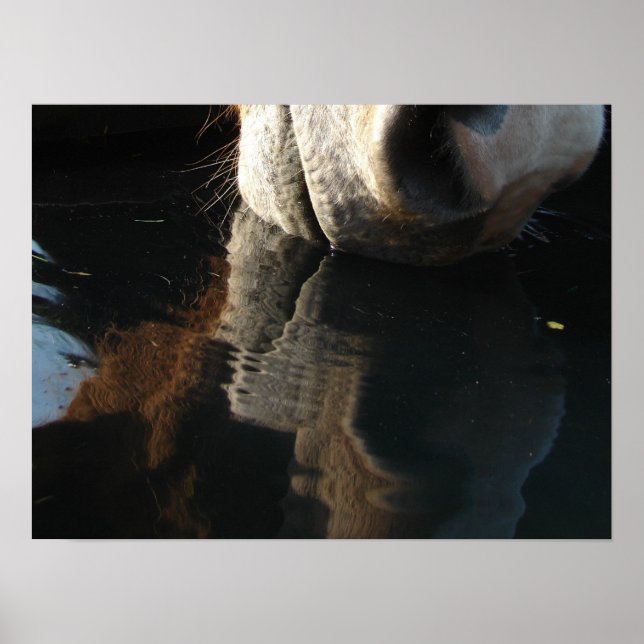 Poster Reflexão sobre Bebidas Cavalos (Frente)
