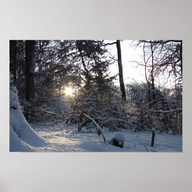 Poster Reflexão solar através das árvores (Frente)