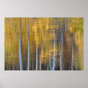 Poster Reflexo Abstrato da Floresta de Outono