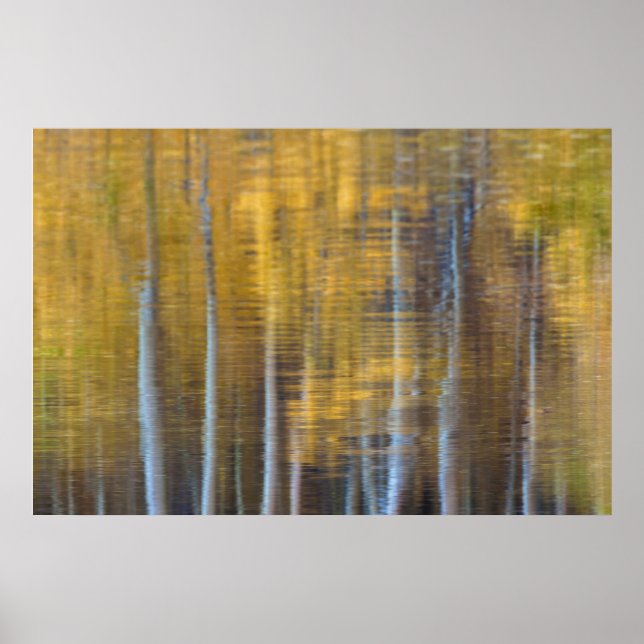 Poster Reflexo Abstrato da Floresta de Outono (Frente)