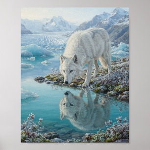 Poster Reflexo da Água da Lagoa Glacial do Lobo Ártico