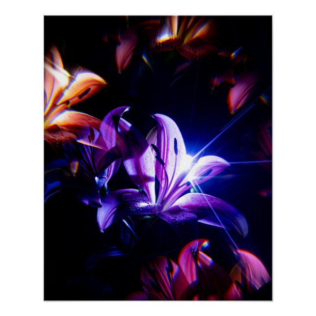 Pôster Reflexo de Lírios Rosa com Raios de Luz (Frente)