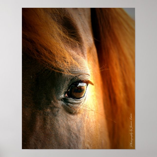 Poster Reflexões (Frente)